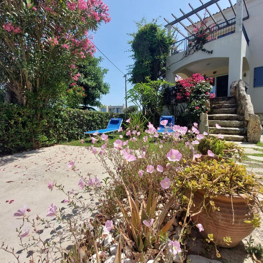 Infinity Night Villa Chania  Zewnętrze zdjęcie